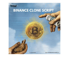  How to Maximize Revenue in 2025 Using a Binance Clone Script