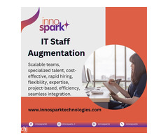 IT Staff Augmentation Companies in India