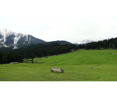 Tricon Holidays – Your Trusted Travel Partner for Kashmir & Jammu