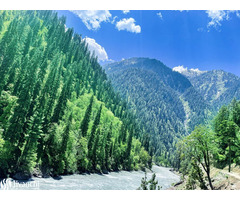 Best Tour Operators in Kashmir | Tricon Holidays - Image 2