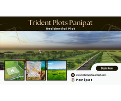 Trident Plots Panipat: Invest in Your Future