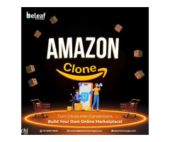 Amazon clone development