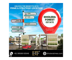 Dholera smart city plot price