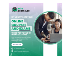 Hire Exam Ace - Image 5