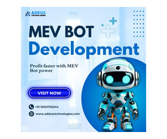 MEV Bot Development - Addus Technologies