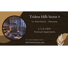 Trident Hills Sector 4 Panchkula  – Where Luxury Meets Comfort - Image 2