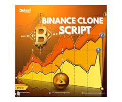 Get Binance Clone Script and Enter the Crypto Market Now