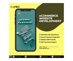 Best eCommerce Website Development Company in Gurgaon