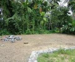 Plot 5.600 cent for sale near Maradu Tripunithura. - Image 2