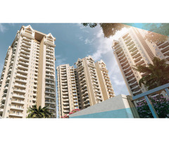 Apex Alphabet 4BHK Units Space Efficiency - Image 2