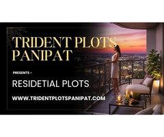 Trident Panipat - Crystal Lifestyle, Clear Opportunity - Image 2