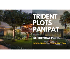 Trident Panipat - Crystal Lifestyle, Clear Opportunity - Image 3