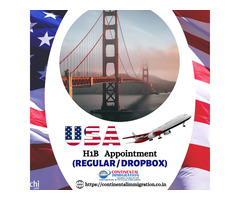 H1B Visa Consultants in India - Continental Immigration