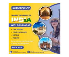 Go India Cab - Taxi Service in Delhi - Image 6