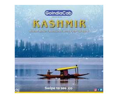 Go India Cab - Taxi Service in Delhi - Image 8