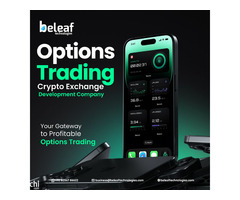 Advanced Trading Made Simple with Options Exchange Development