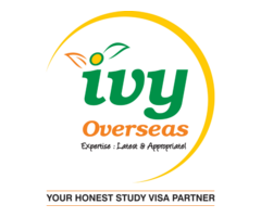 IVY Overseas | Best Overseas Study Consultants in Hyderabad