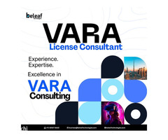 Simplify Compliance with Dubai’s Leading VARA License Consultant