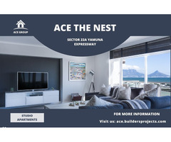 Modern Studio Living at Ace The Nest