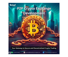 Empower Your Startup Success with P2P Crypto Exchange