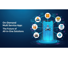 On-Demand Multi Service App: The Future of All-in-One Solutions