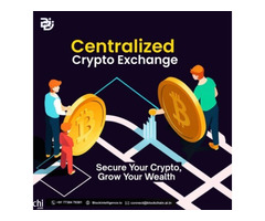 Best Centralized Crypto Exchange development company - Block Intelligence
