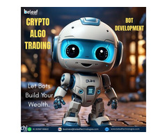 Build Smarter Trades with Crypto Algo Bot Development