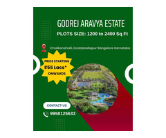 Godrej Aravya Estate – Close to Everything, Far from the Noise - Image 4