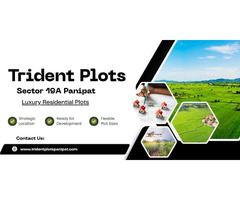 Trident Plots Panipat | Comfort Within a Well-Planned Neighbourhood