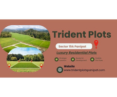 Trident Plots Panipat | Comfort Within a Well-Planned Neighbourhood - Image 2