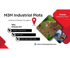 M3M Industrial Plots Sector 9 Manesar | A Well-Organised Industrial Layout - Image 2