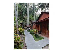 TSG’s Local Touch: How the Resorts Blend Andaman Culture with Modern Luxury