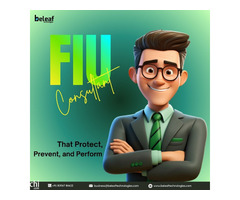 Expert FIU Consultant In India - Beleaf Technologies