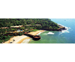 Discover why North Goa is every traveler’s dream!