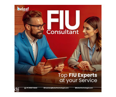 Top-Rated FIU Consultant Services That Keep You Safe, Secure, and Audit-Ready!