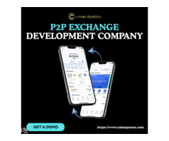 Professional P2P Exchange Development Services