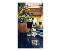 Best Cafe in Ahmedabad for Gluten-Free Food & Comfort Dining - Image 3