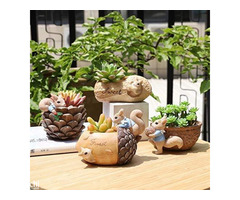 Buy Planters and Pots Online for Stylish Home & Garden Spaces - Image 3
