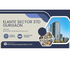 Elante Sector 37D Gurgaon – Your Move, Our Expertise
