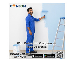 Find Painter Service Near Me | Hire Expert Wall Painter in Gurgaon