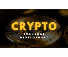 Tired of Delays in Crypto Exchange Development? Who Can Fix It Fast?