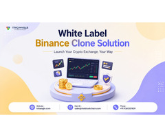 White Label Binance Clone Script – Germany