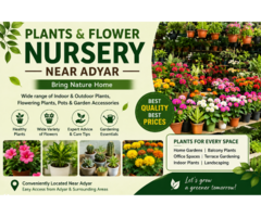 Plants and Flower Nursery