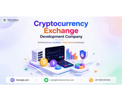 Cryptocurrency Exchange Development Company in Singapore