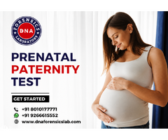Non-Invasive Prenatal Paternity Test – Safe, Accurate & Reliable Confirmation