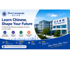 Chinese enrichment for kids
