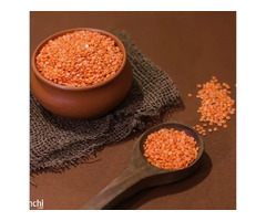 Trusted Masoor Dal Trader for B2B Supply Across Rajasthan | A1 Food Product