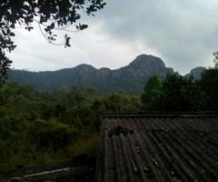 40 ft² – Near Edakel Cavu Wayanad 9 Cent Plot 1 Lakh/ Cent.