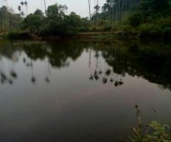 40 ft² – Residential Land in Lake View karlad Wayanad