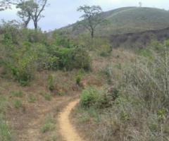 4 ft² – 15 Cent Residential Land in Vythiri Near a Streams
